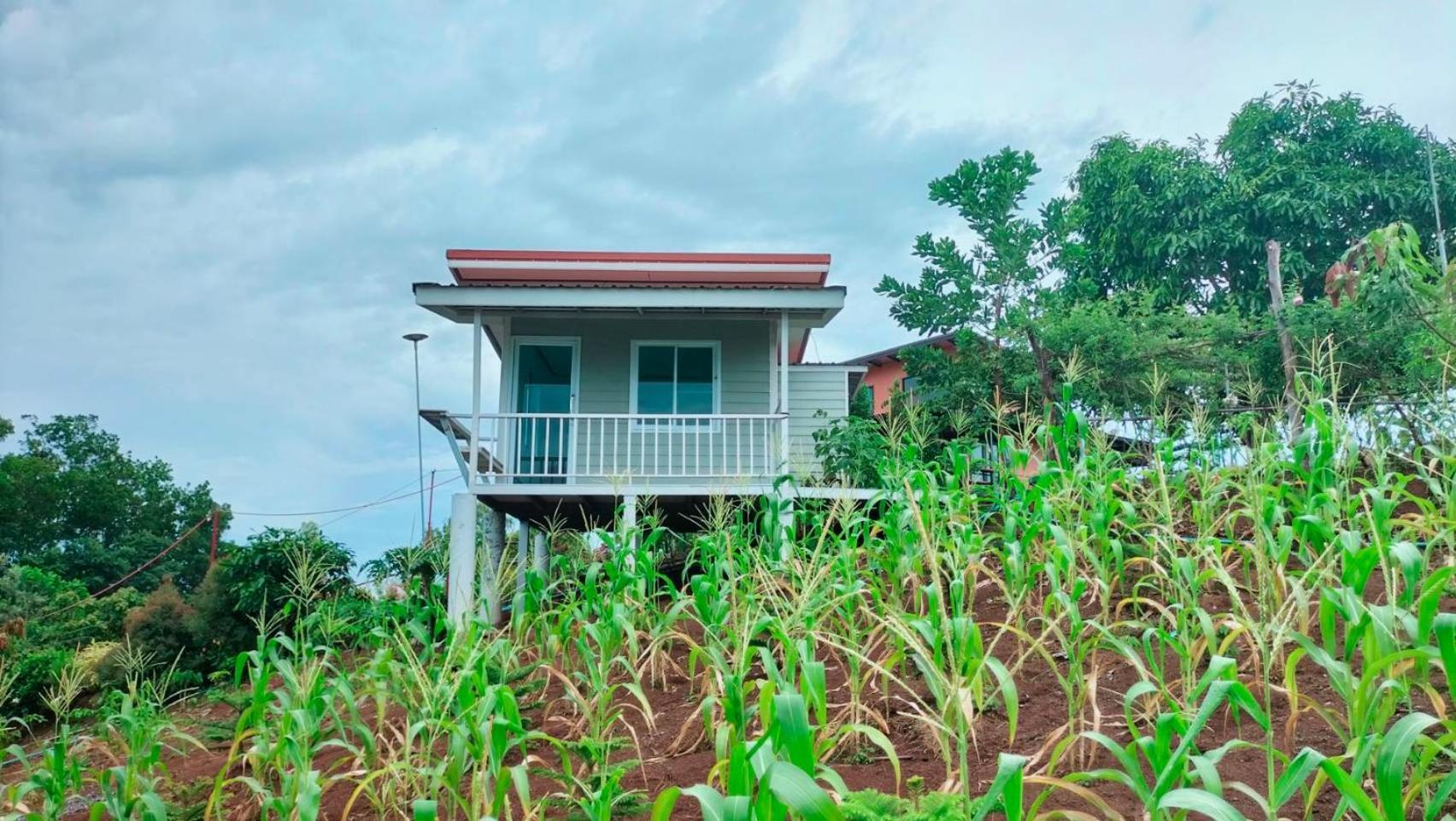 Smile Farm At Khaokho Hotel Ban Thung Samo Exterior foto