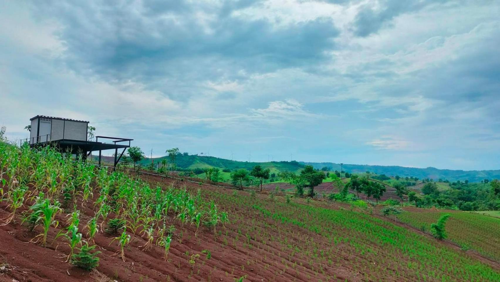 Smile Farm At Khaokho Hotel Ban Thung Samo Exterior foto